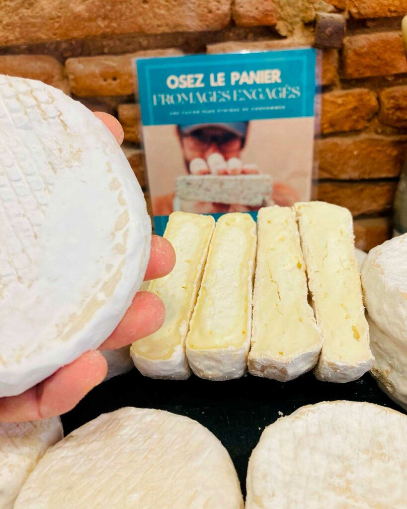 Cheese-Making Workshop in Toulouse: Urban Dairy Experience