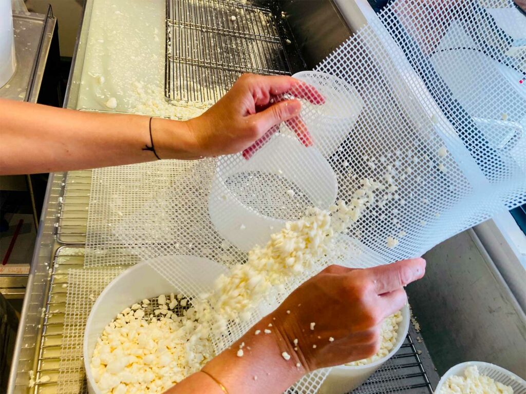 Cheese-Making Workshop in Toulouse: Urban Dairy Experience