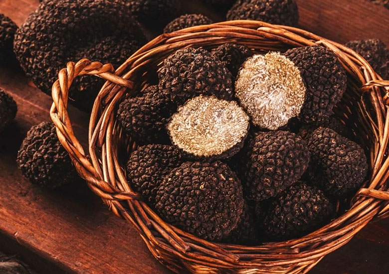 A Journey Through the Regional Flavors of French Cuisine