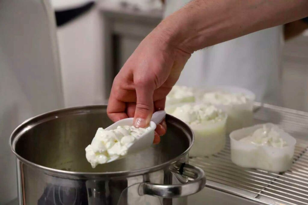Cheesemaking Workshop in Paris – Mastering Artisan Cheese