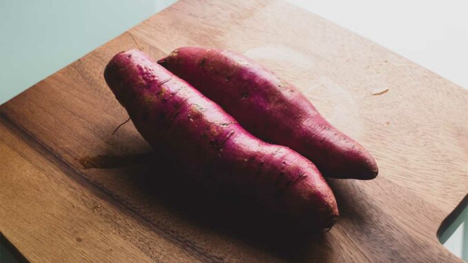 sweet-potatoes Mastering Sweet Potato Slips: A Practical Guide for Growers