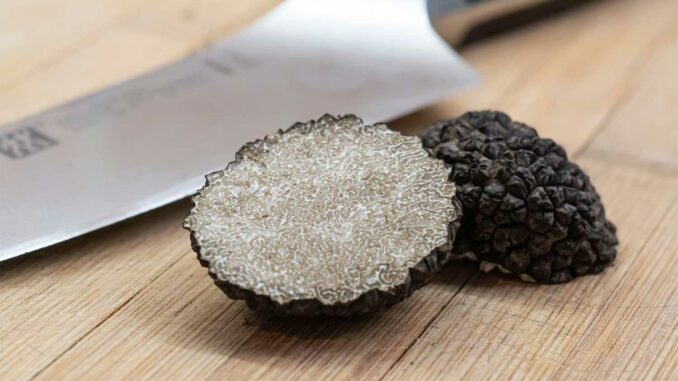 The Allure of French Truffles: Cultures, Cuisine & Tours