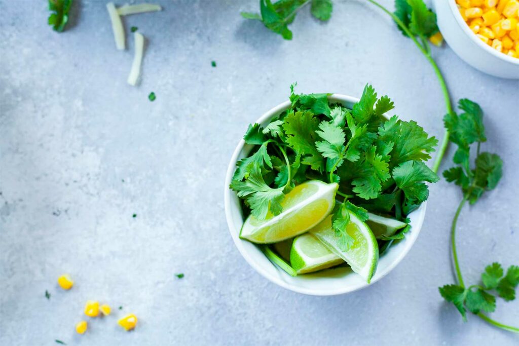 Coriander’s Quiet Power in Indian Kitchens and Culture