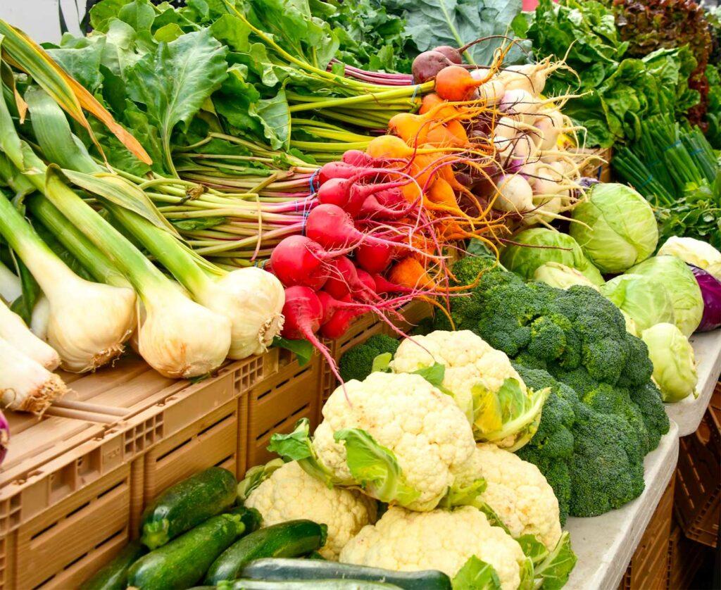 The Five Food Groups: What They Deliver and How to Balance