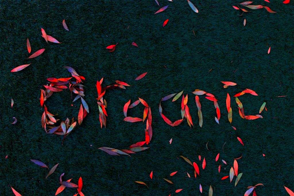 Understanding Organic Labels: Criteria, Guarantees and Market Trends