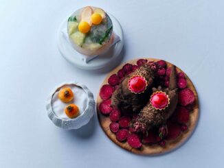 Groupe Bernard Loiseau