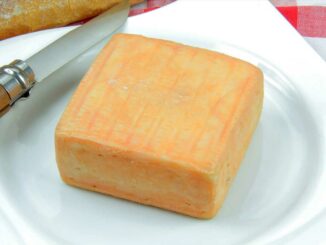 Maroilles french cheese