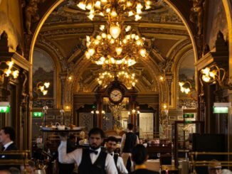 the best luxury brasseries in Paris